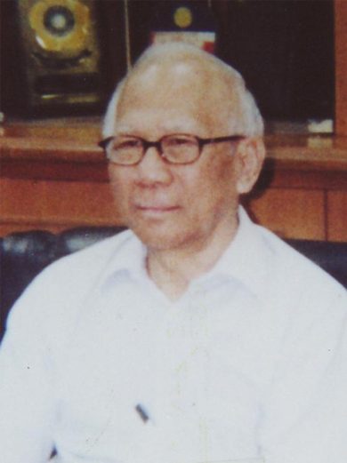 Prof. Dr. J.E. Ismae